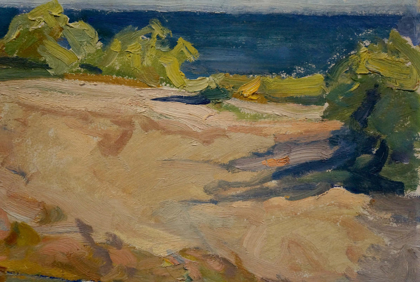Oil painting landscape by Zaichenko Vasily Andrianovich, impressionist coastal scene