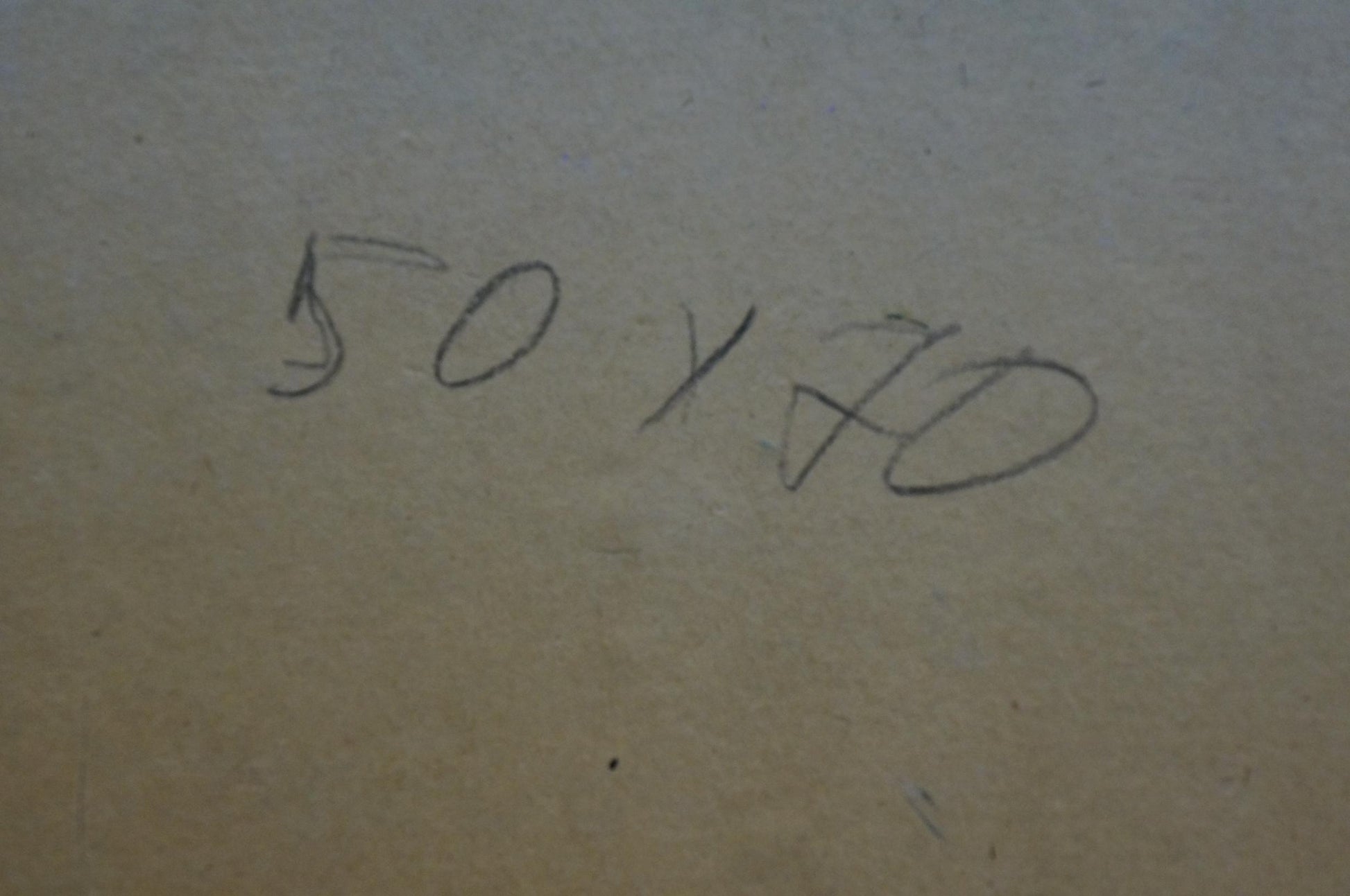 Back of Fomin Anatoly Nikiforovich oil painting: 50 x 40 in pencil on beige