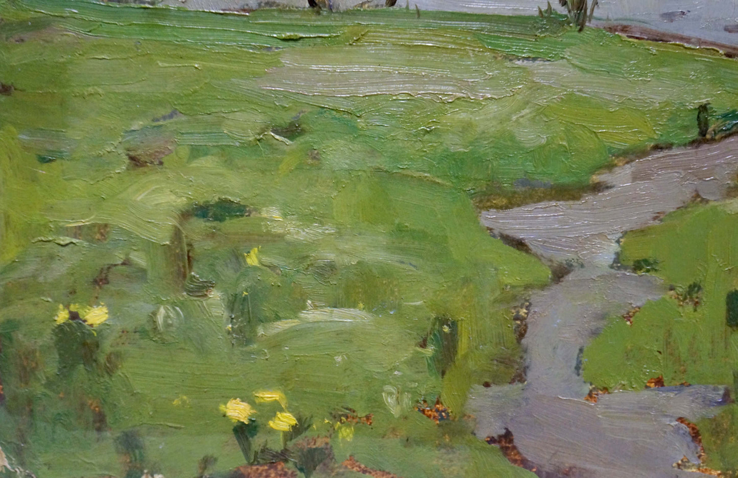 Oil painting Spring on the Dnieper by Petrov Georgy Petrovich, green field with yellow flowers