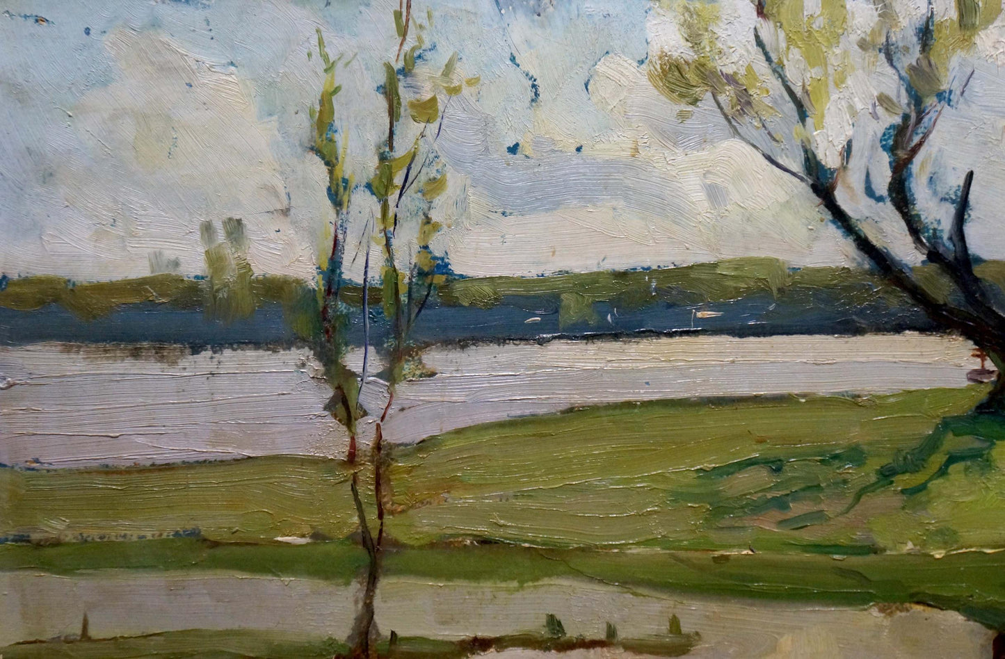 Oil painting Spring on the Dnieper by Petrov Georgy Petrovich serene landscape