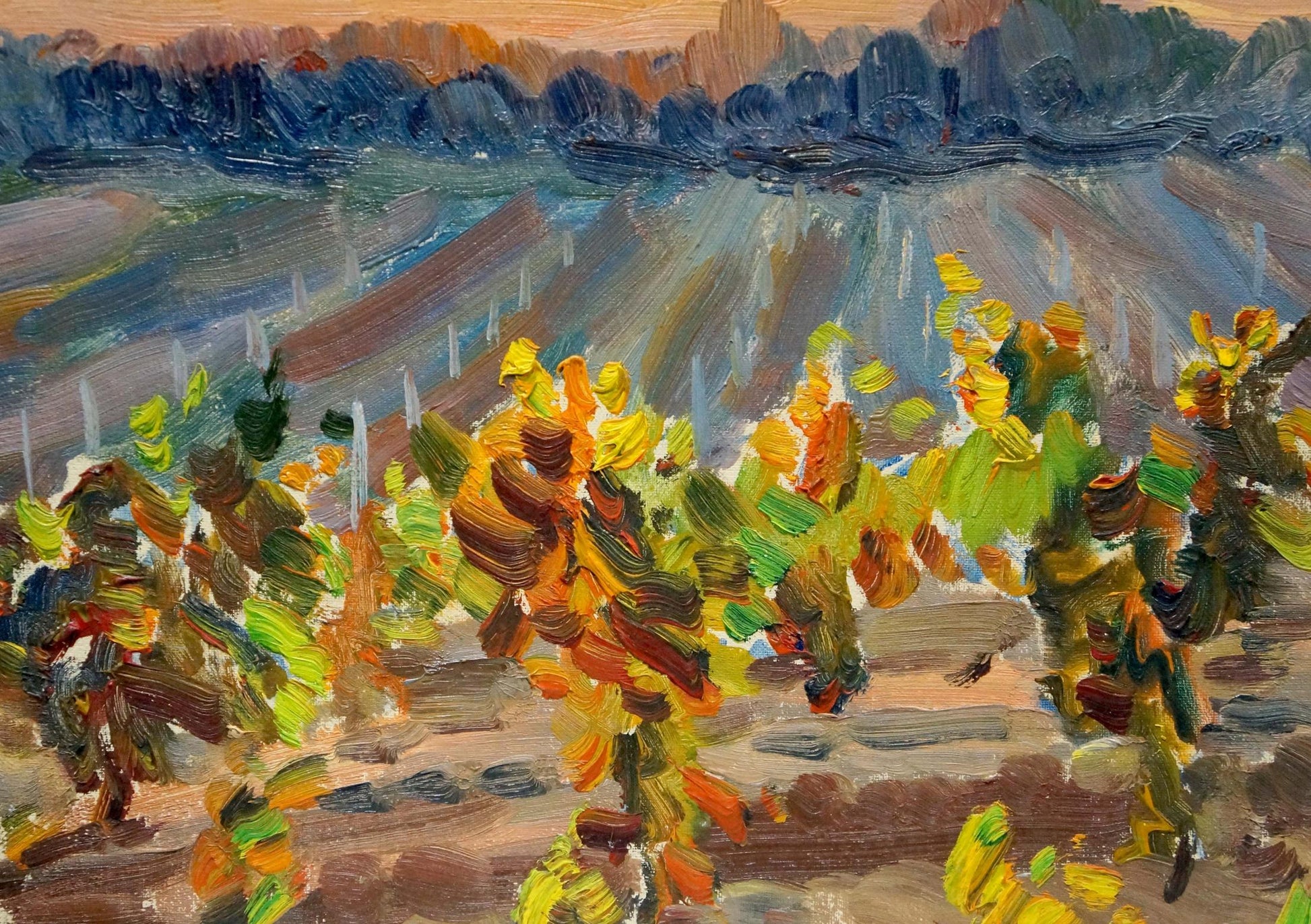 Vibrant impressionist oil painting Sunset on the vineyards by Petr Kolomoitsev