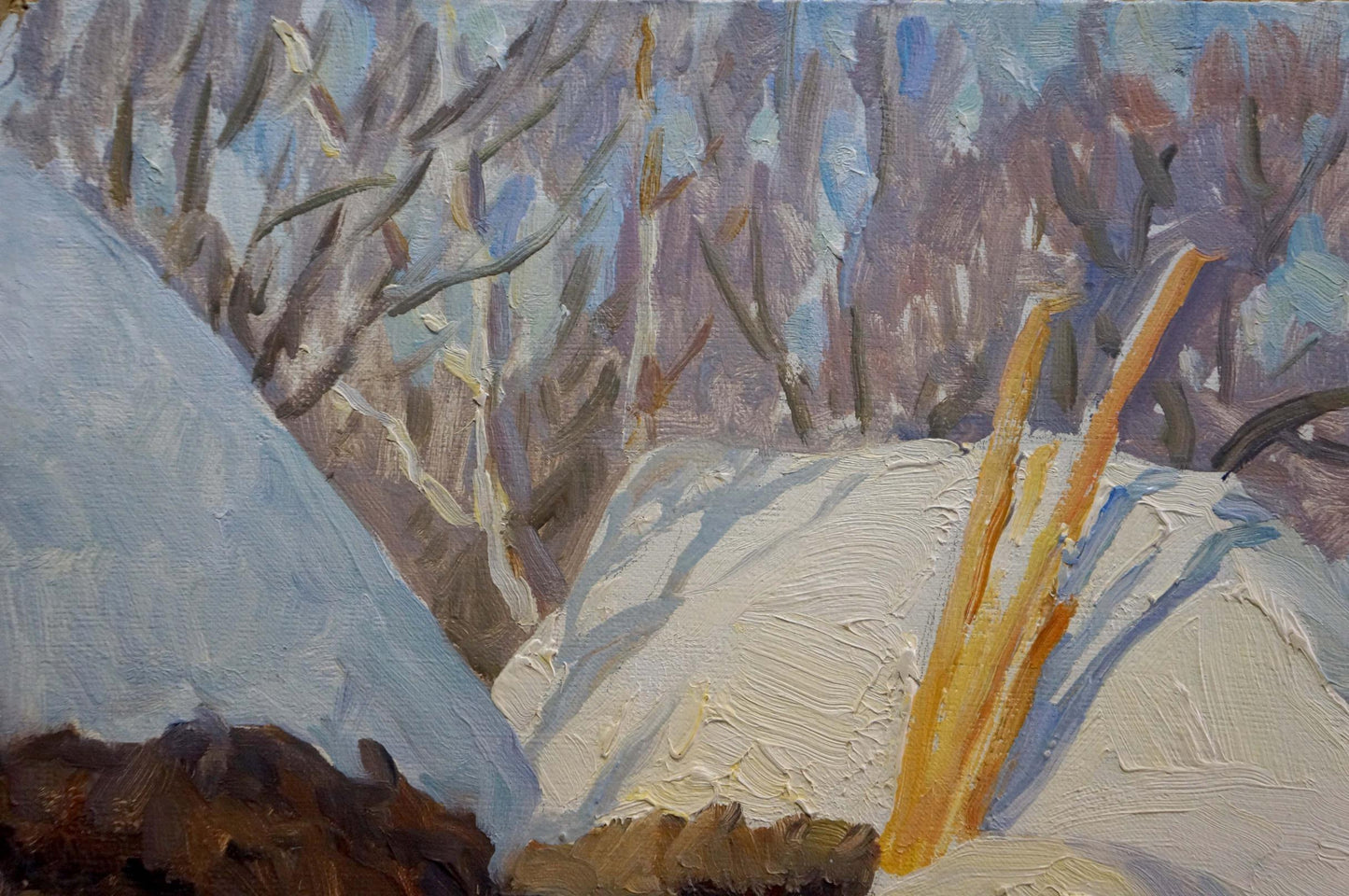 Oil painting Winter in Sednev by Dzyuban Ivan Feodosievich: golden skis on snowbank
