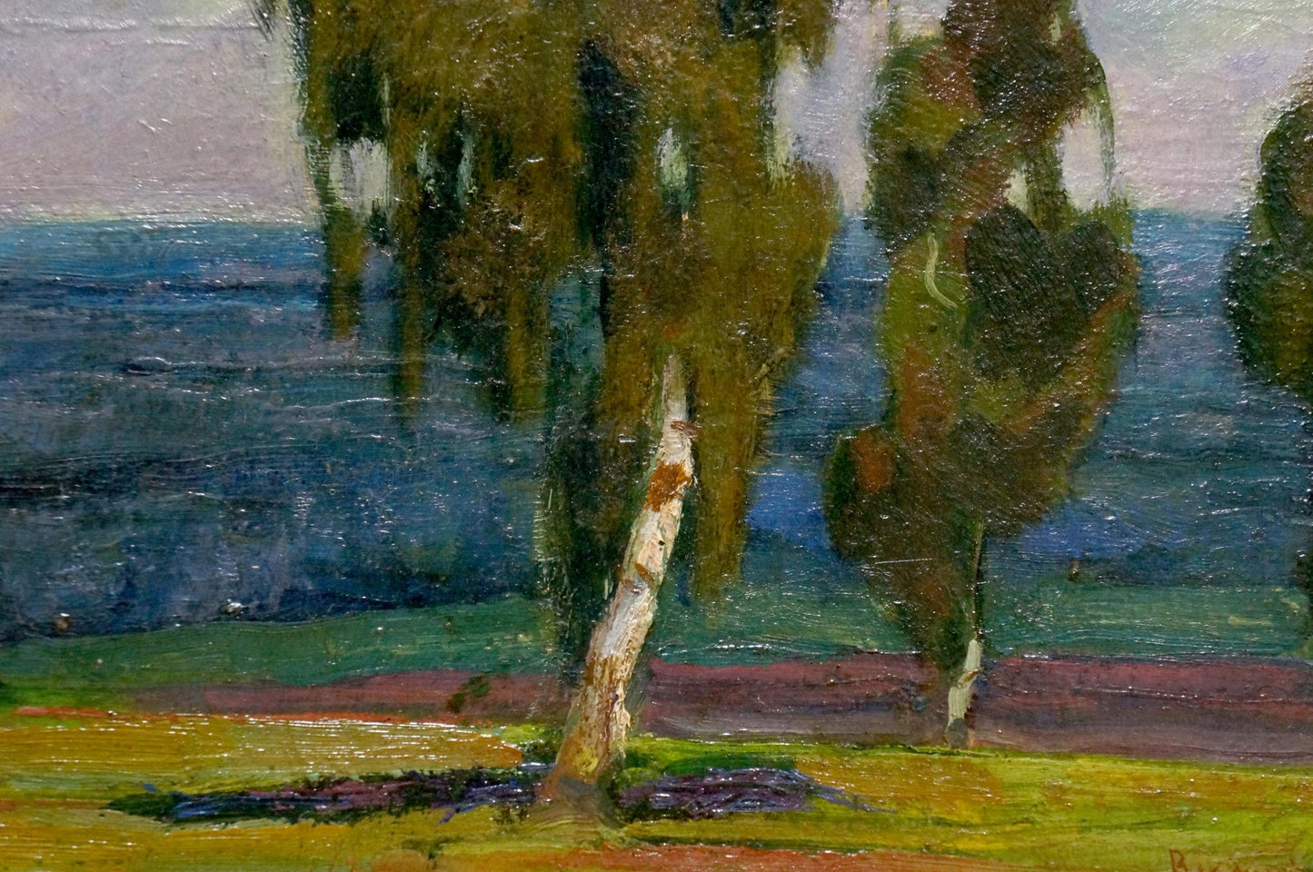 Oil painting of birch tree by water in the woods, unknown artist
