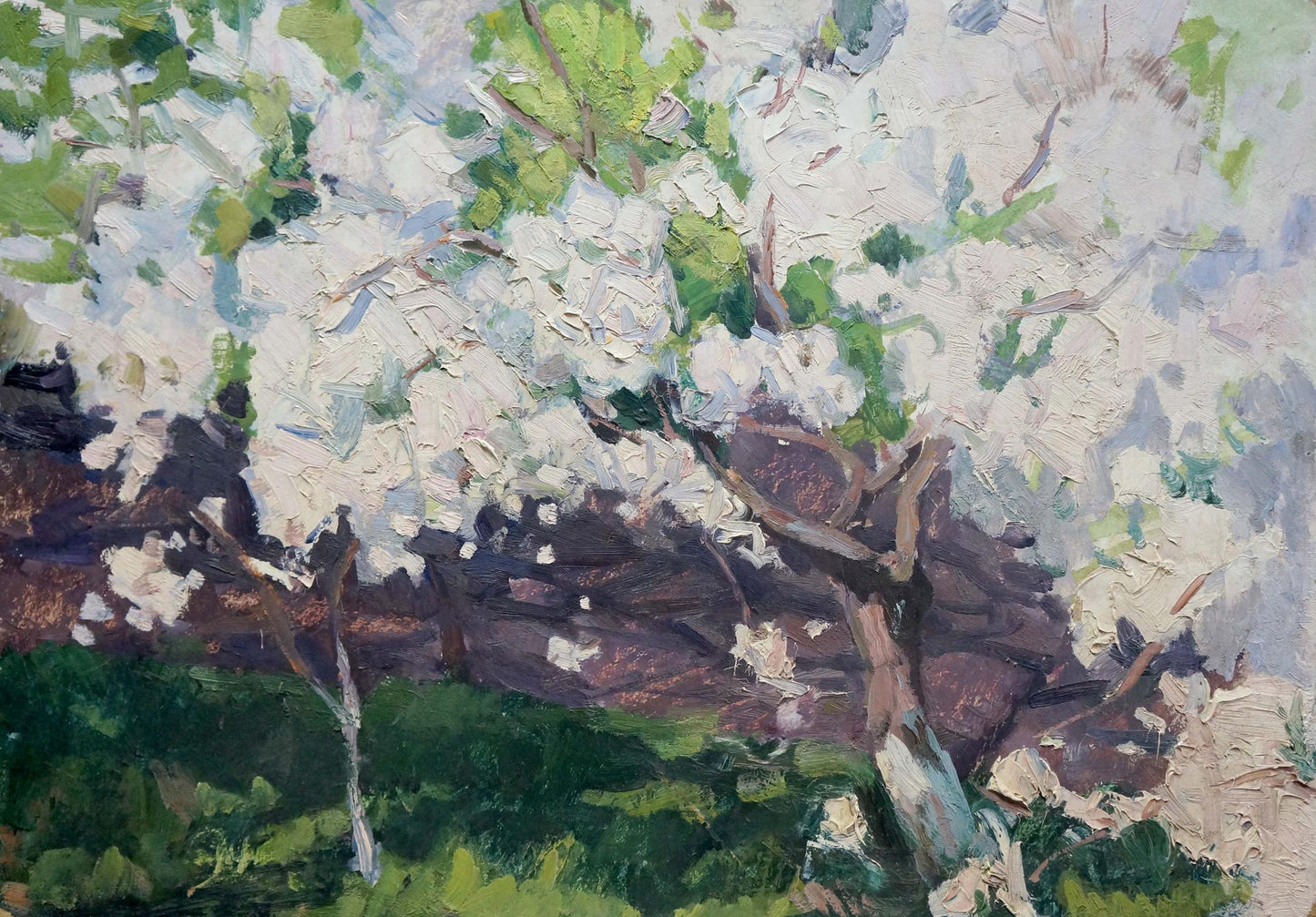 Textured oil painting of Trypilsky apple tree blossoms