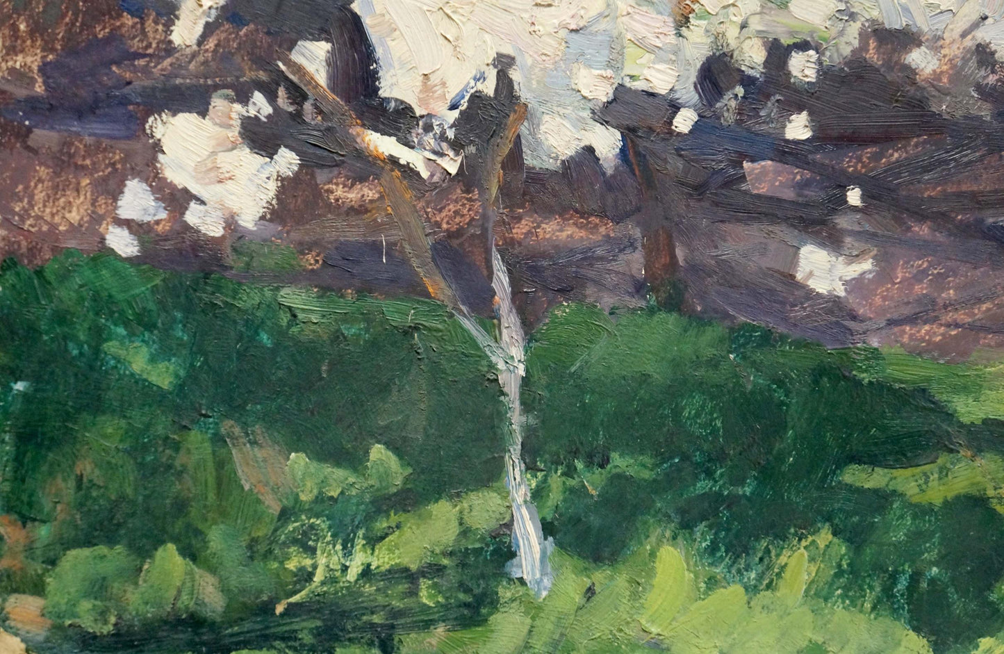 Oil painting of Trypilsky apple tree blossoms on slender light trunk in green landscape