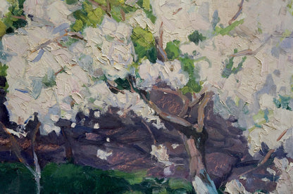 Oil painting of Trypilsky apple tree blossoms with white flowers