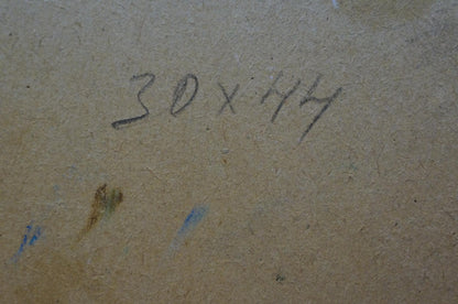 Back of Oil painting Vase with flowers in the garden: handwritten 30 x 44 inches on cardboard