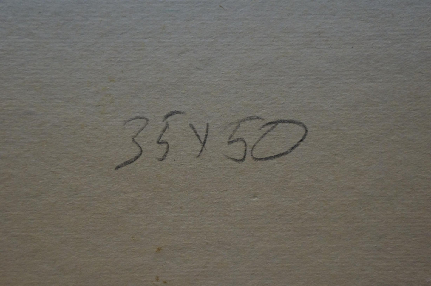 Back of Viktor Grigorievich Sevastyanov oil painting with 35x50 handwritten in black ink on beige