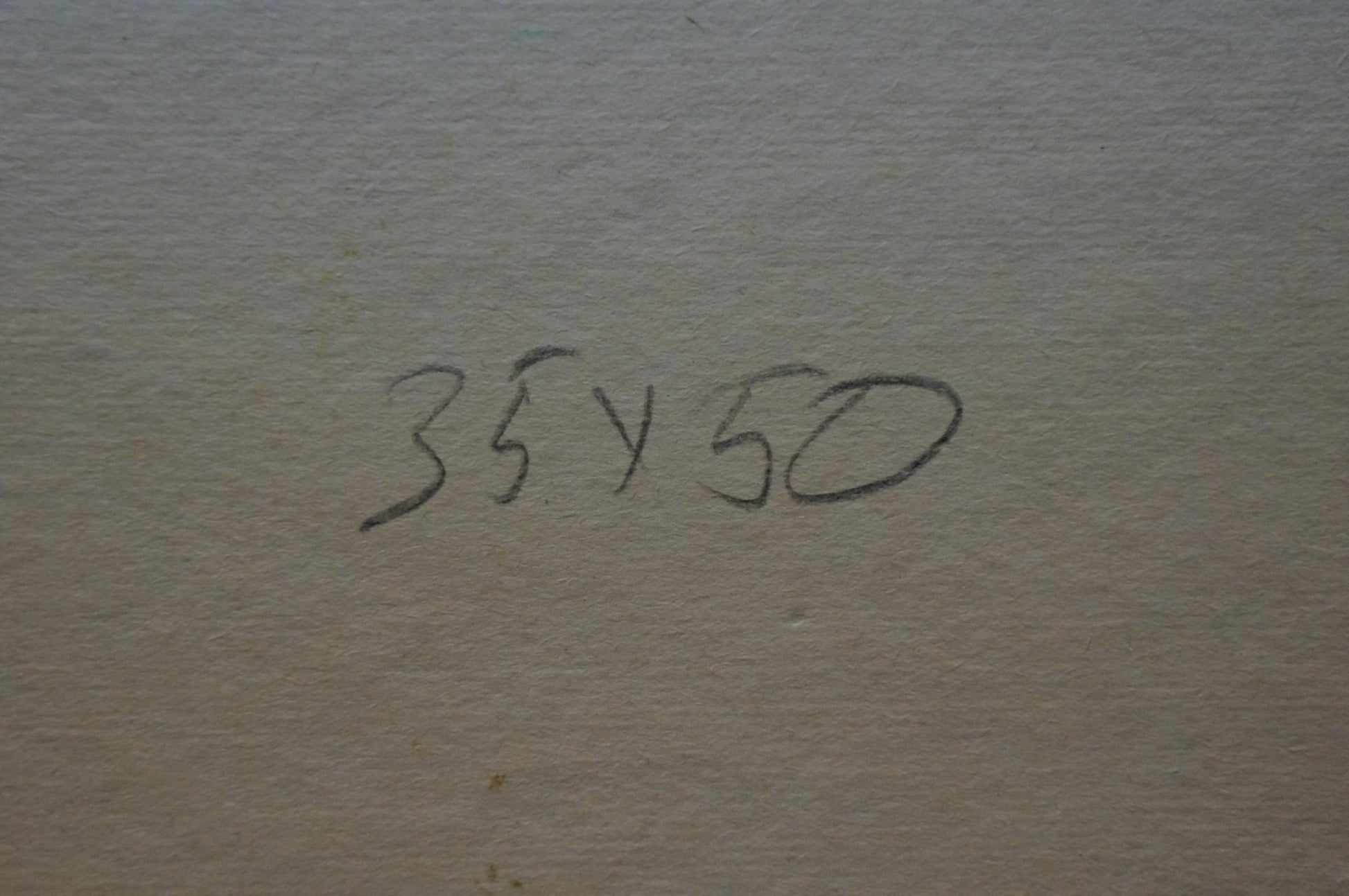 Back of Viktor Grigorievich Sevastyanov oil painting with 35x50 handwritten in black ink on beige