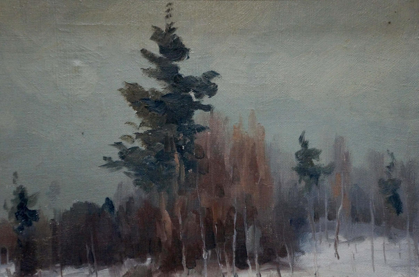 Oil painting of tall dark green pine tree in misty winter landscape by Stavropol artist