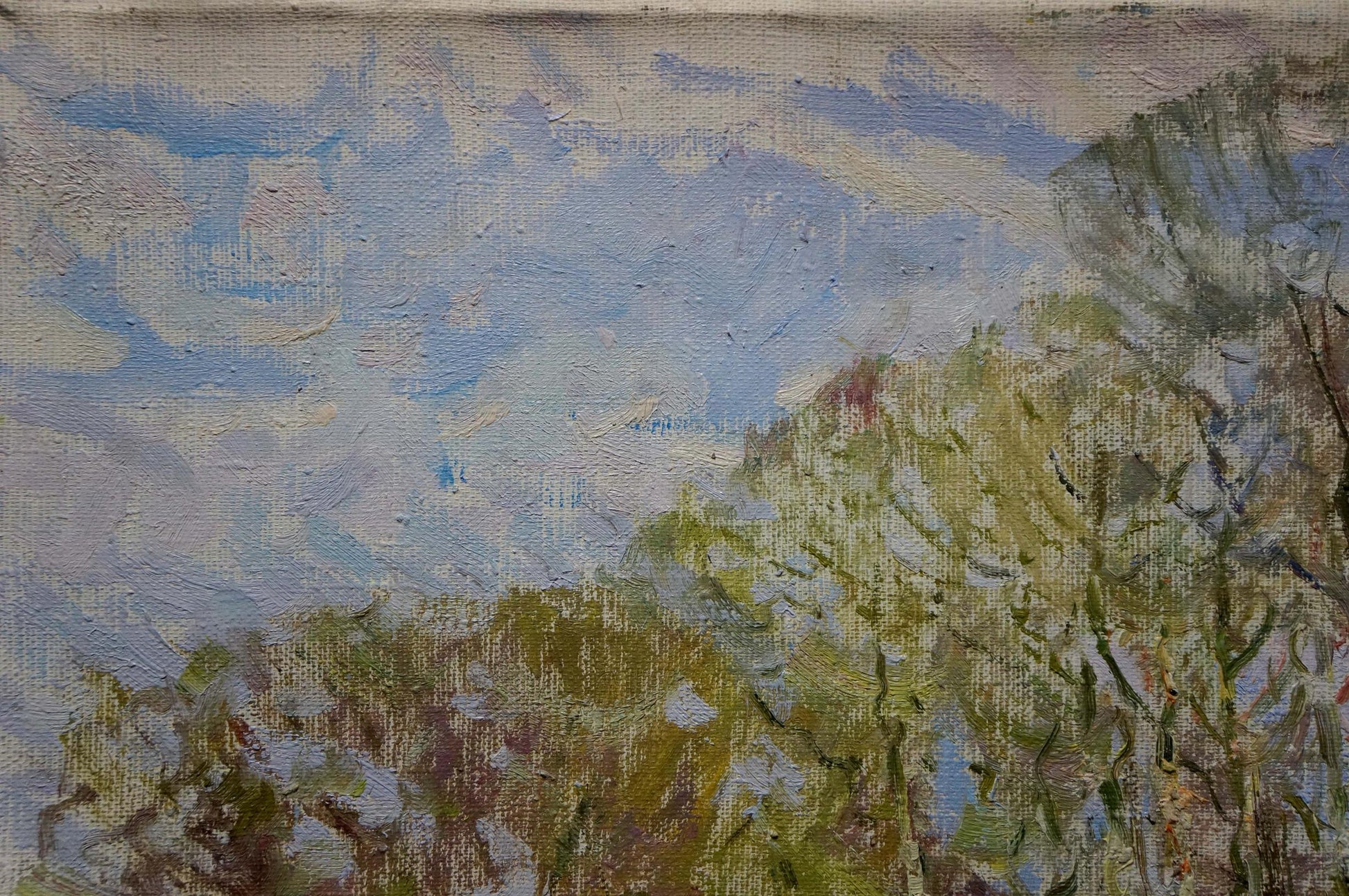 Oil painting Children by the pond by Sevastyanov Viktor Grigorievich, impressionistic sky over trees