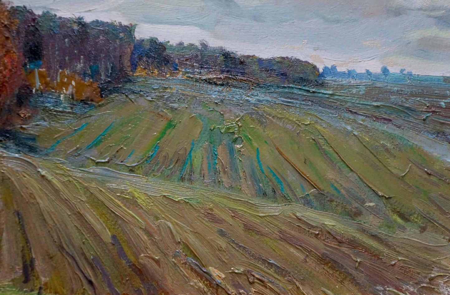 Impressionistic oil painting After the Rain by Snopok A.N. with green brown fields