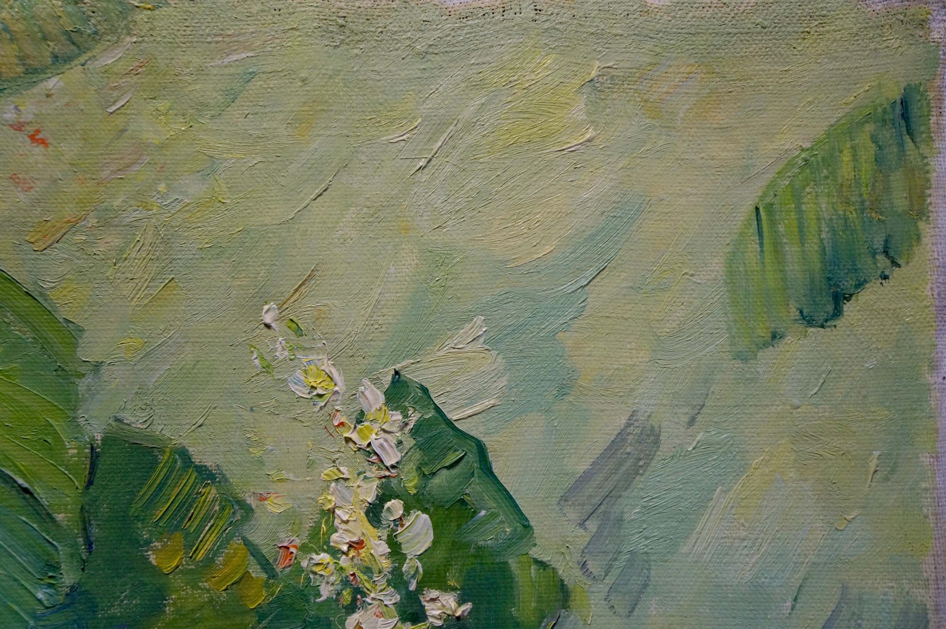 Oil painting of delicate white flowers by Sevastyanov Viktor Grigorievich