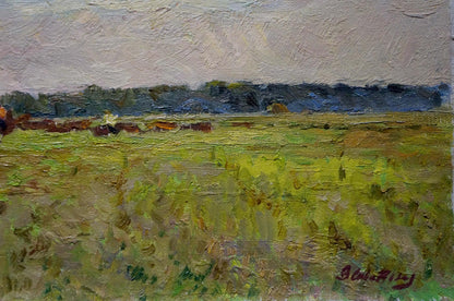 Oil painting by Sevastyanov Viktor Grigorievich: green field under overcast sky