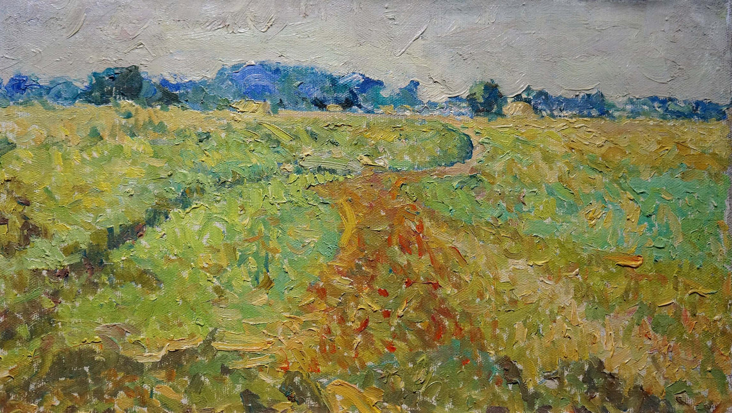 Impressionistic oil painting by Sevastyanov Viktor Grigorievich: winding path through vibrant fields under gray sky