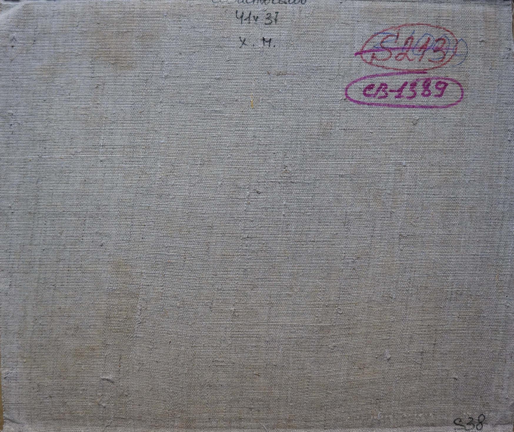 Back of Sevastyanov Viktor Grigorievich oil painting on textured gray fabric