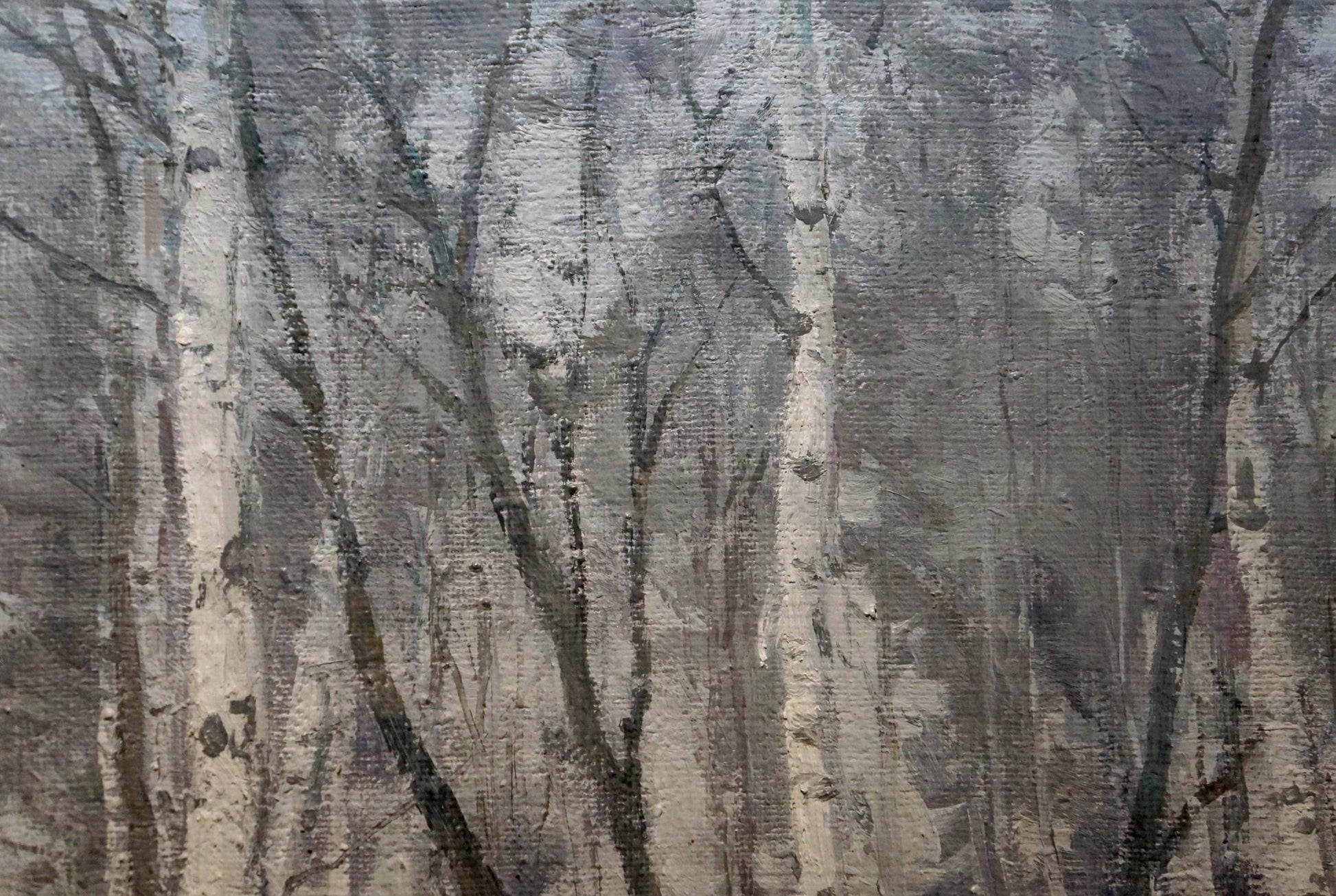 Oil painting of winter birch forest by Plamenitsky Anatoly Alexandrovich