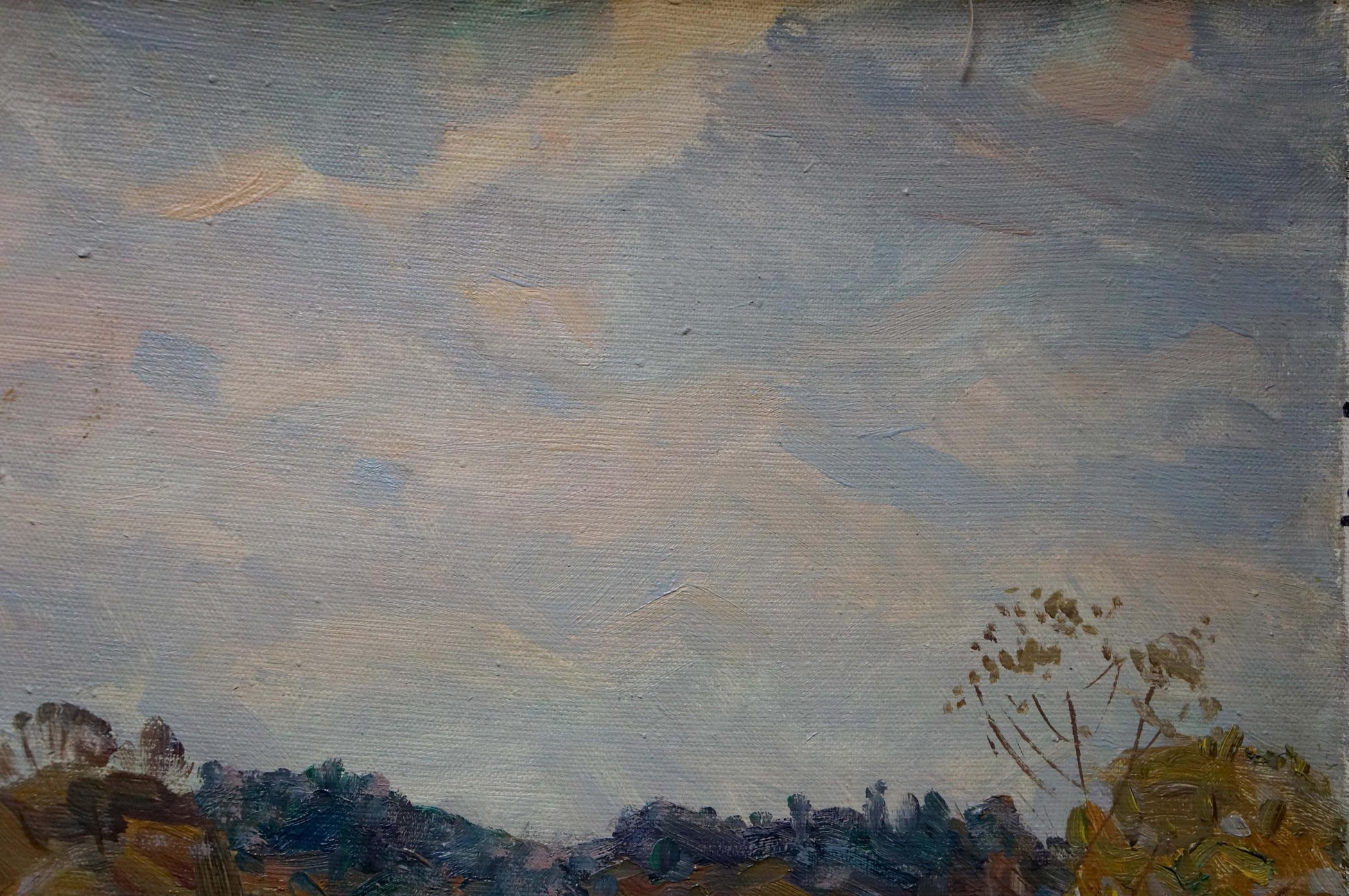 Impressionistic sky in muted blues and pinks, Oil painting Autumn by Tyukha Ivan Andreevich