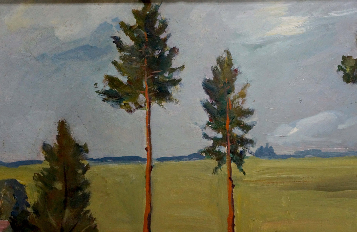 Oil painting by Chekov Leonid Dmitrievich: tall pines over yellow-green field