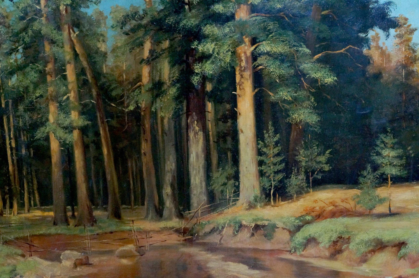 Oil painting Dense forest with tall slender pine trees under blue sky