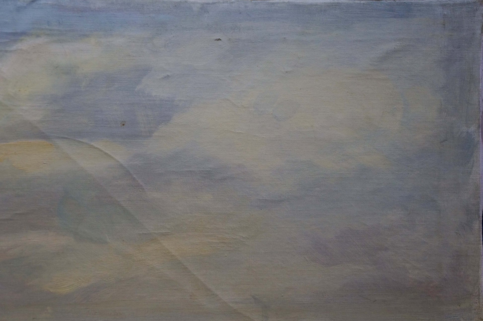 Oil painting Beautiful view of soft cloudy sky in muted blues grays