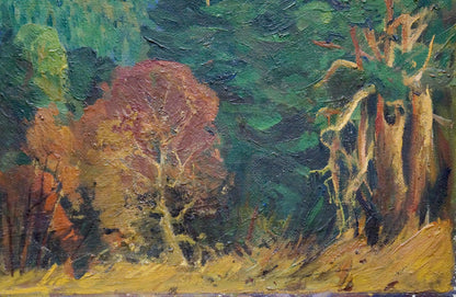 Oil painting Autumn in the Mountains by Ternovykh Vladimir Vasilievich
