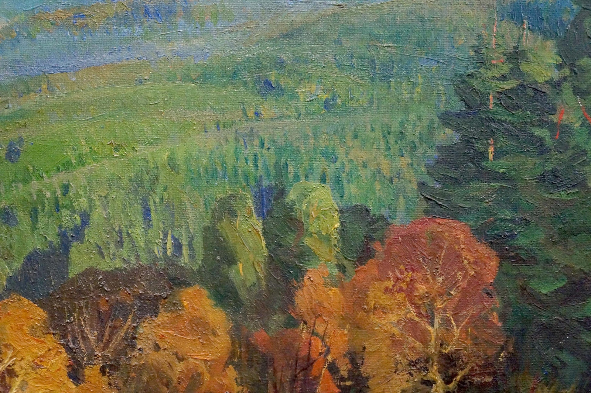 Oil painting Autumn in the mountains by Ternovykh Vladimir Vasilievich