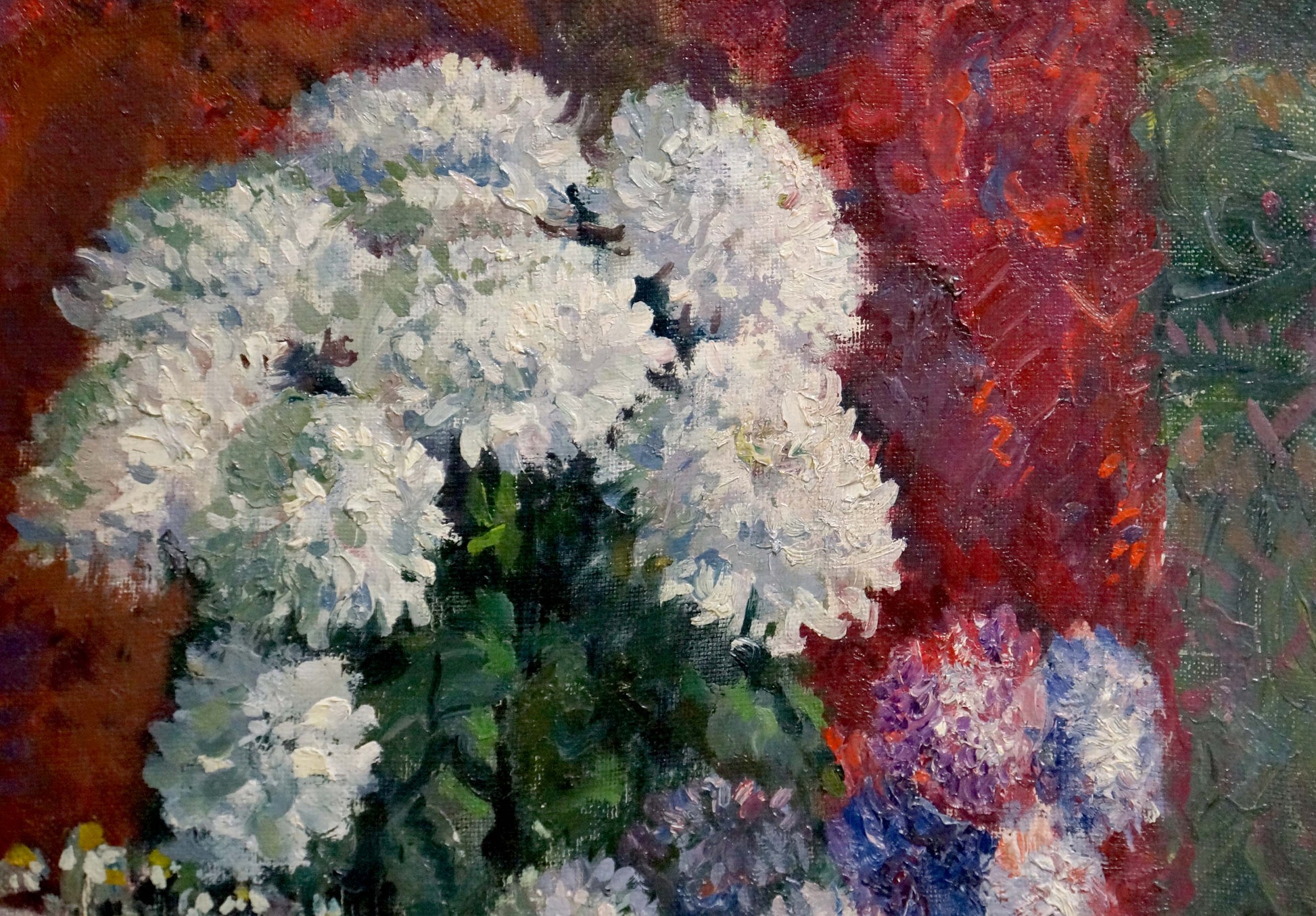 Oil painting of fluffy white chrysanthemums by Mynka Alexander Fedorovich