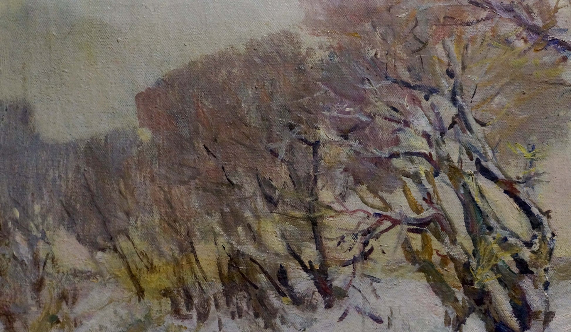 Oil painting On the Lake by Nikolai Petrovich Petrov, gnarled branches