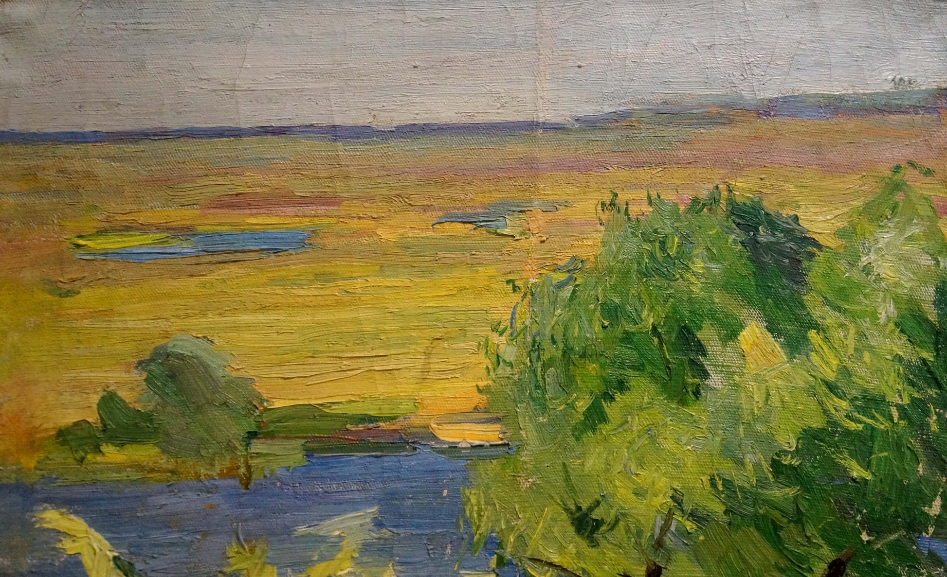 Oil painting September by Kogan-Shats Matvey Borisovich: vibrant yellow field