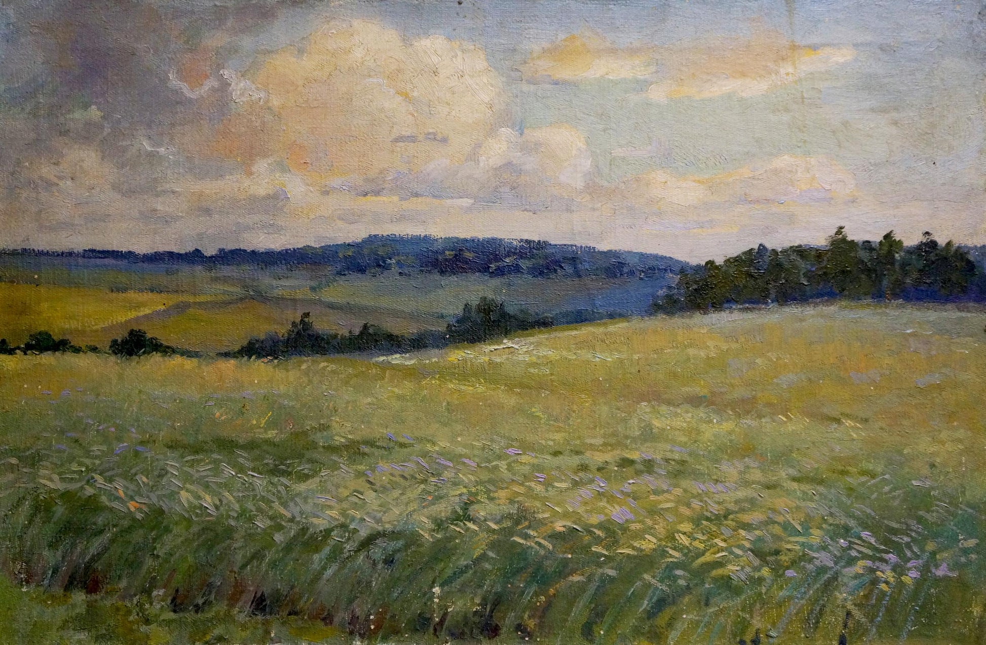Serene impressionistic oil painting by Gerus Boris Stepanovich: golden fields, hills