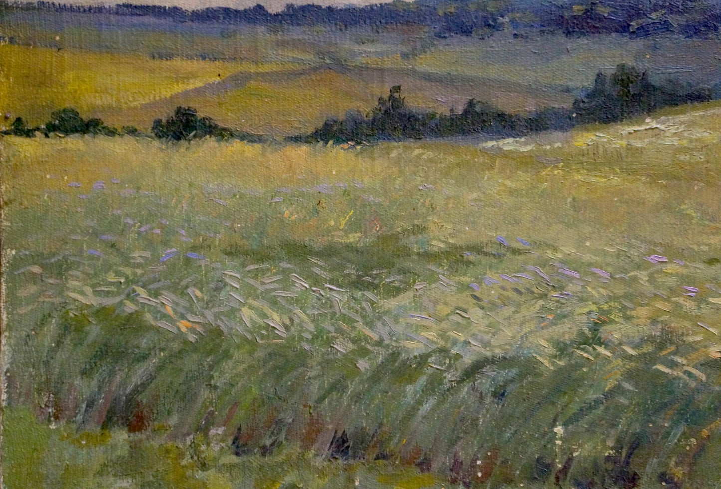 Oil painting by Gerus Boris Stepanovich: golden field with purple wildflowers
