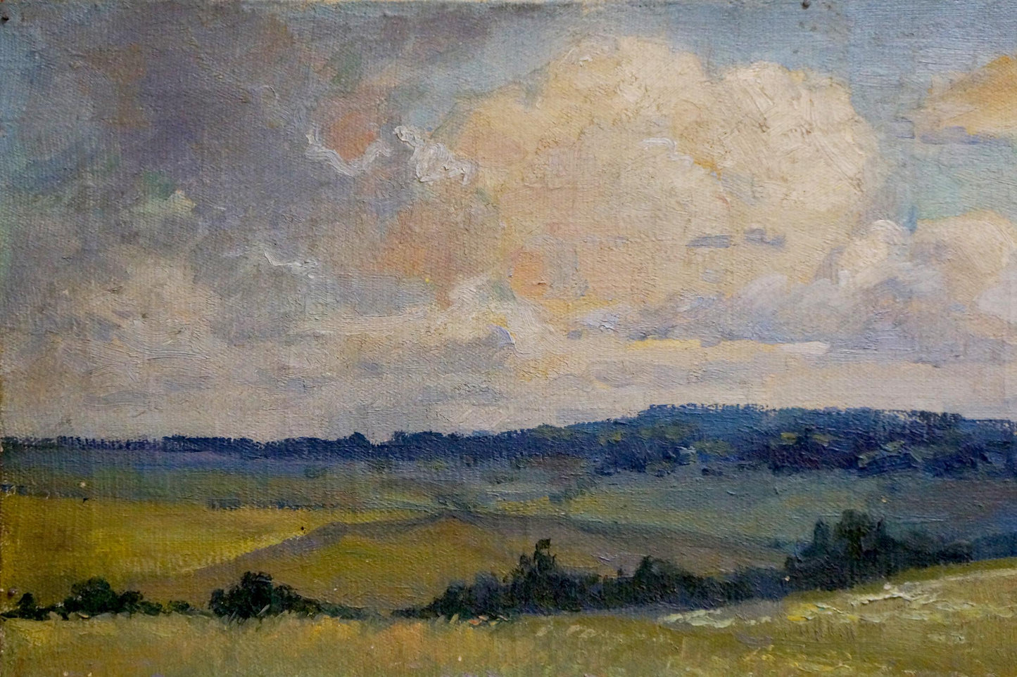 Oil painting by Gerus Boris Stepanovich: golden field under cloudy sky