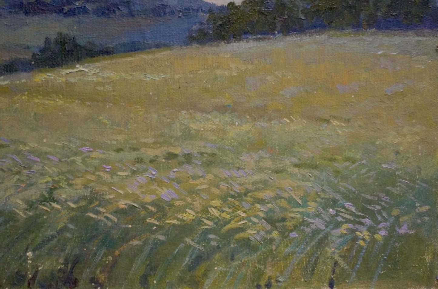 Oil painting by Gerus Boris Stepanovich: golden field with purple wildflowers