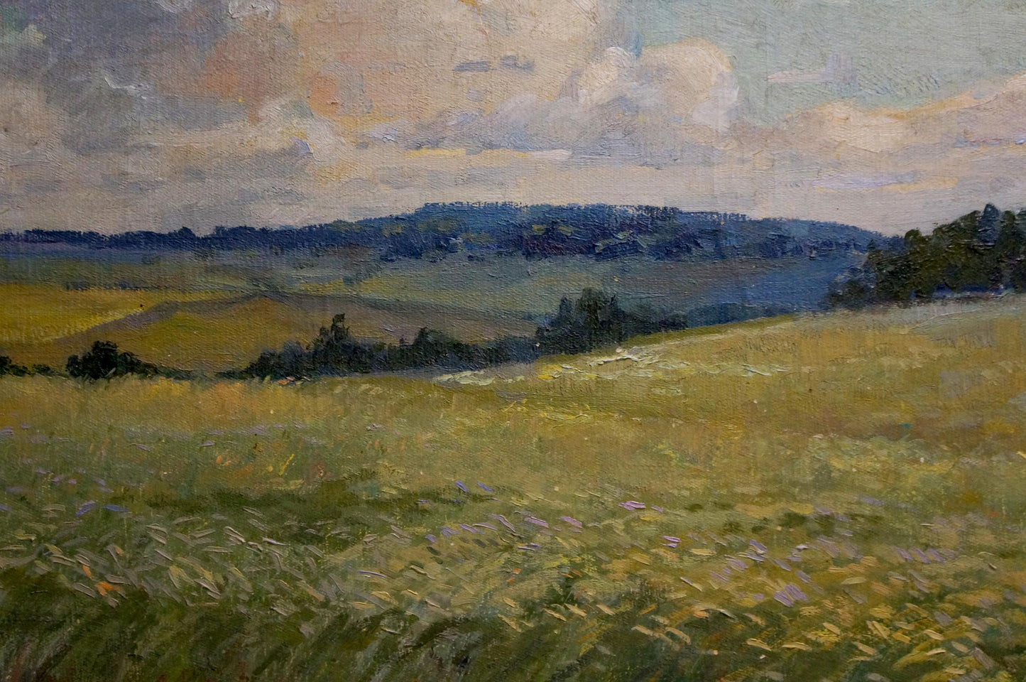Serene oil painting by Gerus Boris Stepanovich: golden field under cloudy sky