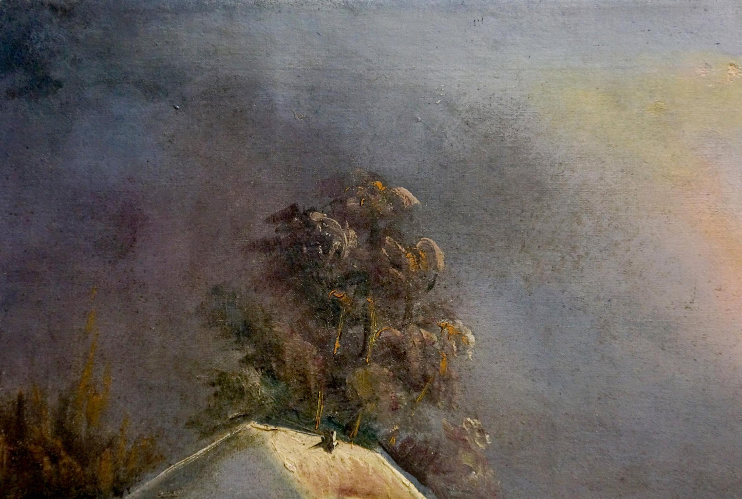Oil painting Winter fairy tale: solitary tree with dense foliage, yellow blossoms, moody sky