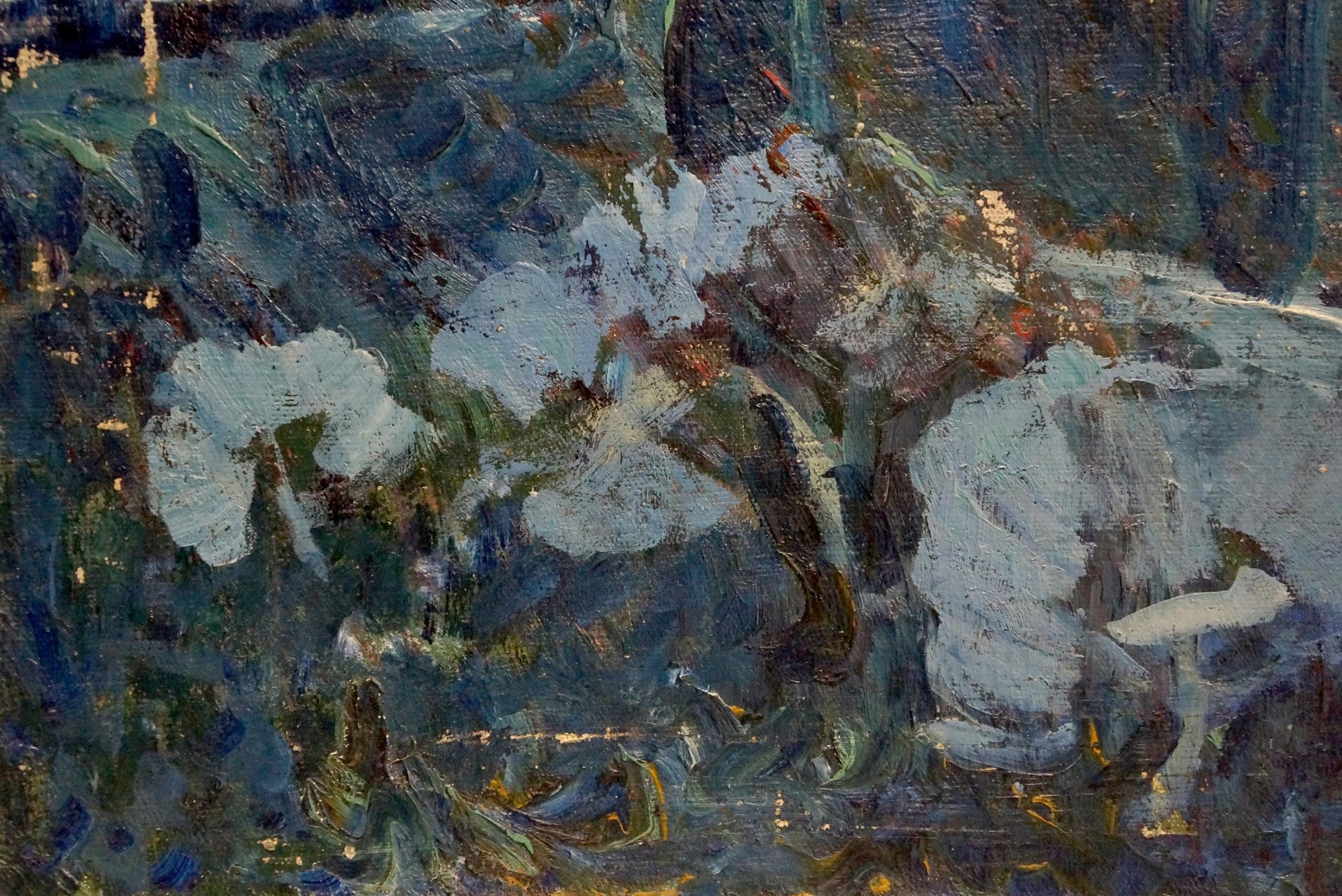 Textured impressionistic white flowers by Tolochko Victor Ivanovich