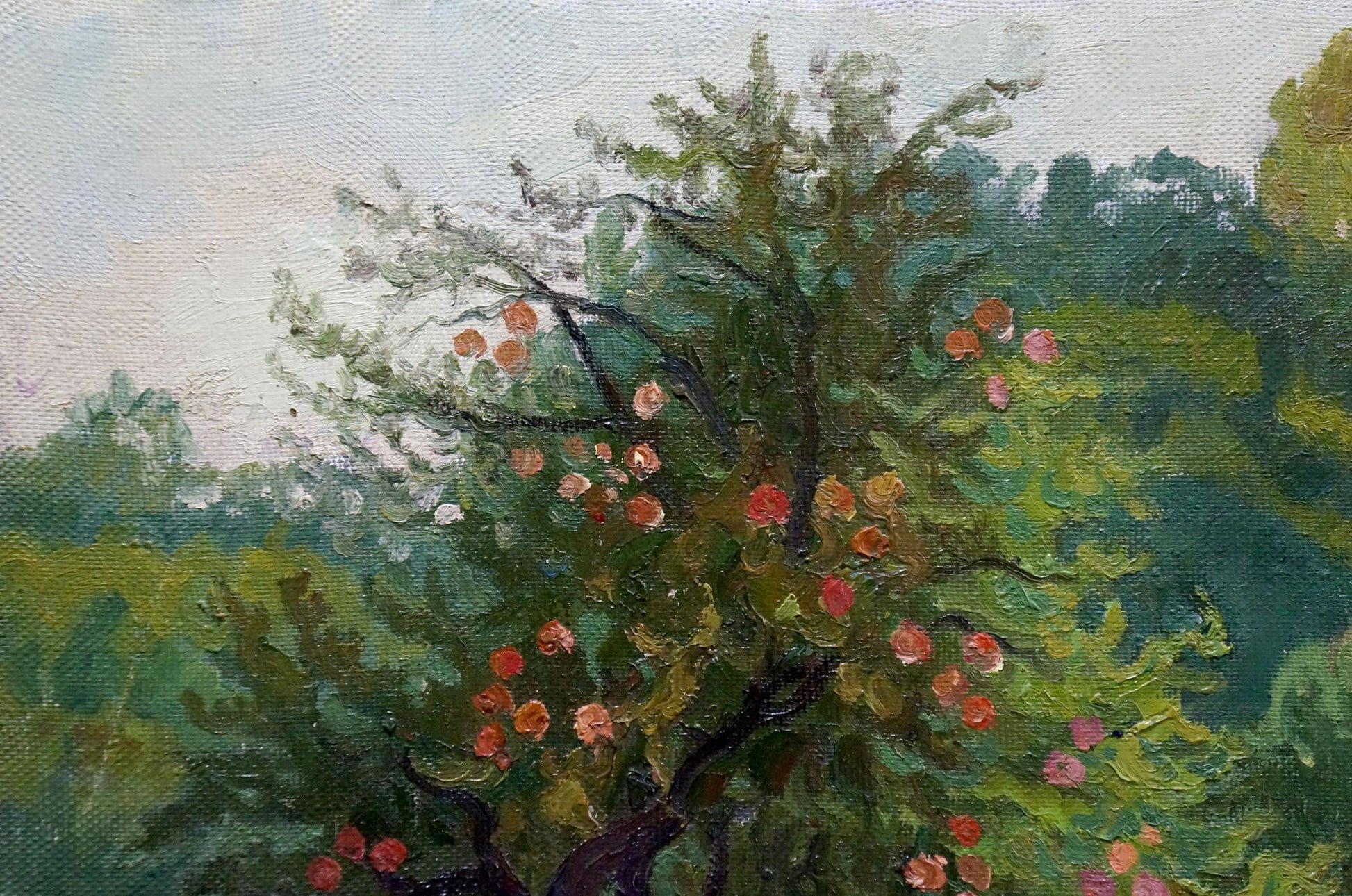 Oil painting of old apple tree by Zorko Yuri Valentinovich
