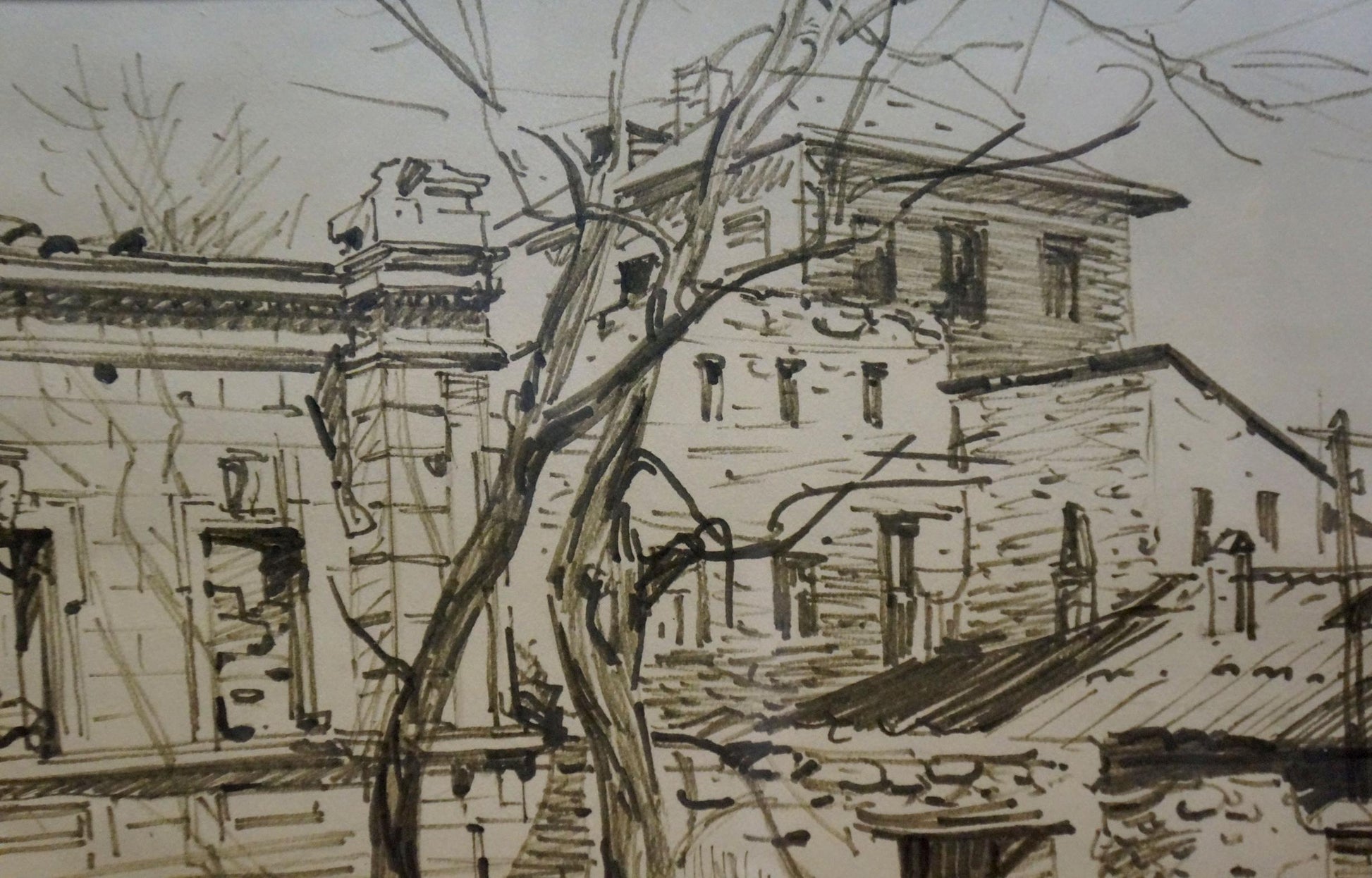 Detailed black-and-white sketch of leafless tree by Bortnikov Nikolay Fedorovich