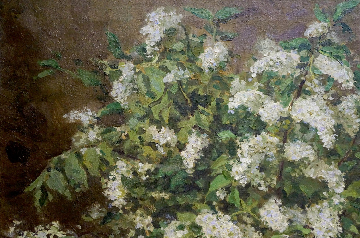 Impressionistic oil painting of white blossoms by Kazantsev Anatoly Alekseevich