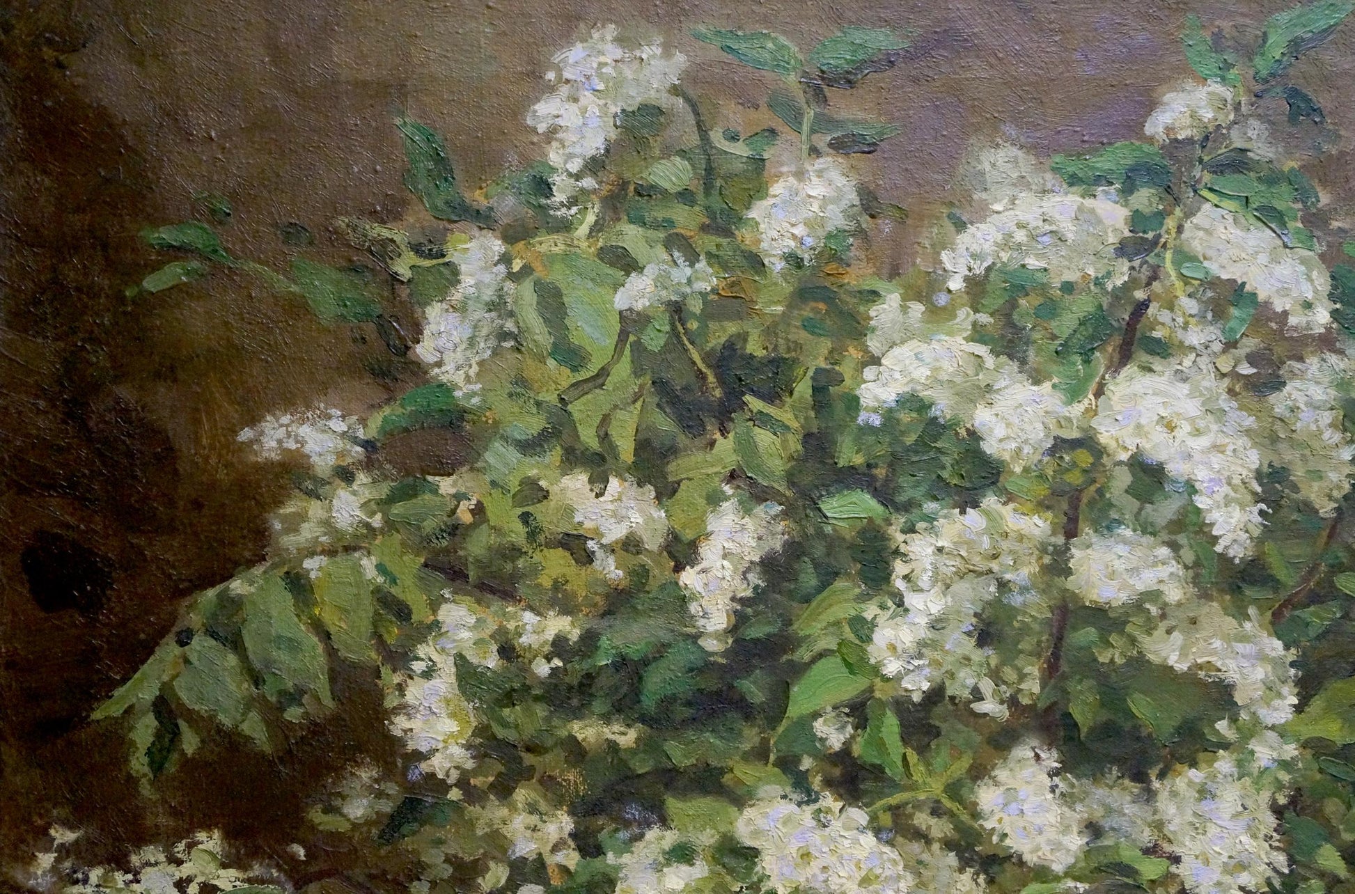 Impressionistic oil painting of white blossoms by Kazantsev Anatoly Alekseevich