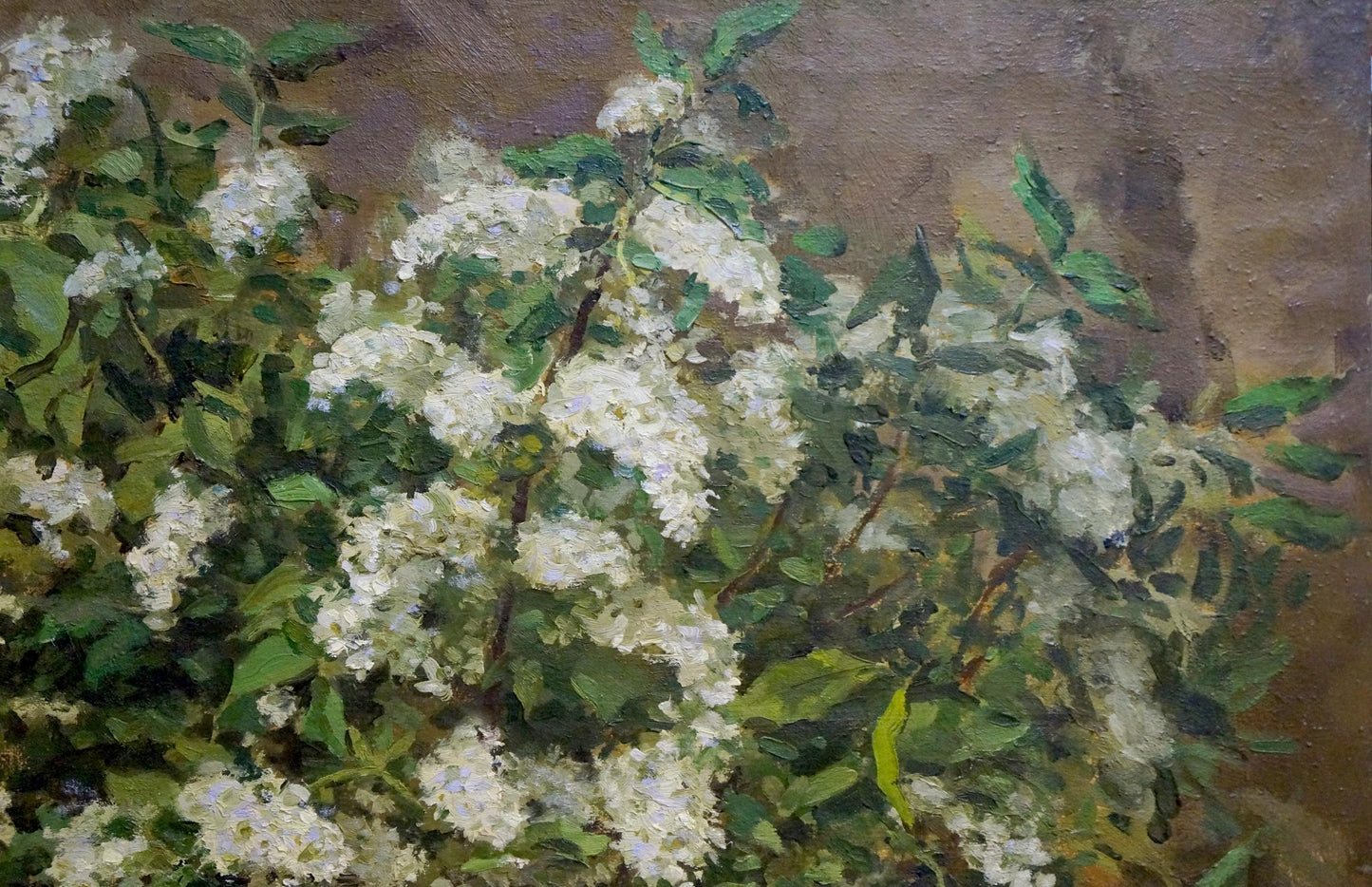 Impressionistic oil painting of white blossoms by Kazantsev Anatoly Alekseevich
