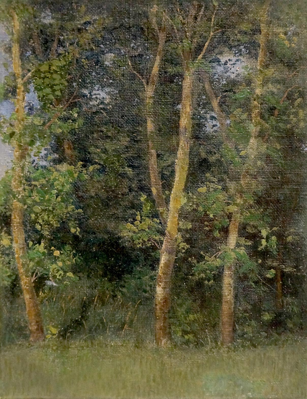 Oil painting of birch forest by Efim Efimovich Volkov