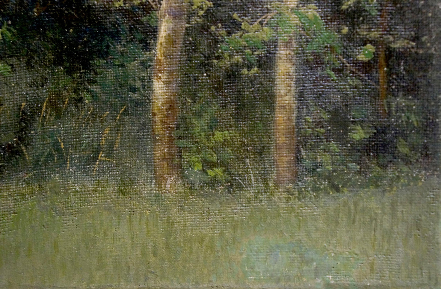 Oil painting Forest landscape by Efim Efimovich Volkov with tree trunks in grass