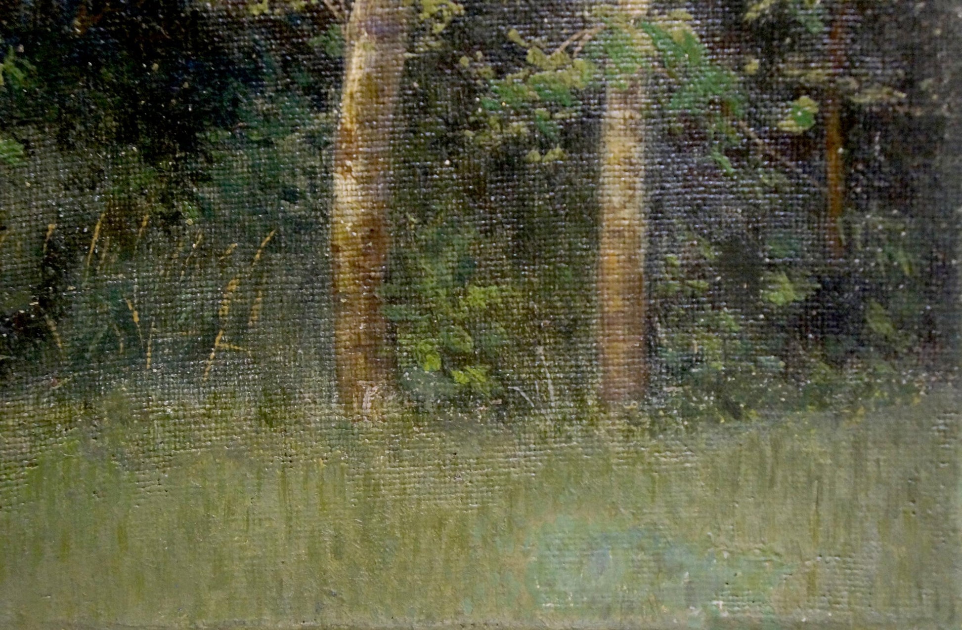 Oil painting Forest landscape by Efim Efimovich Volkov with tree trunks in grass