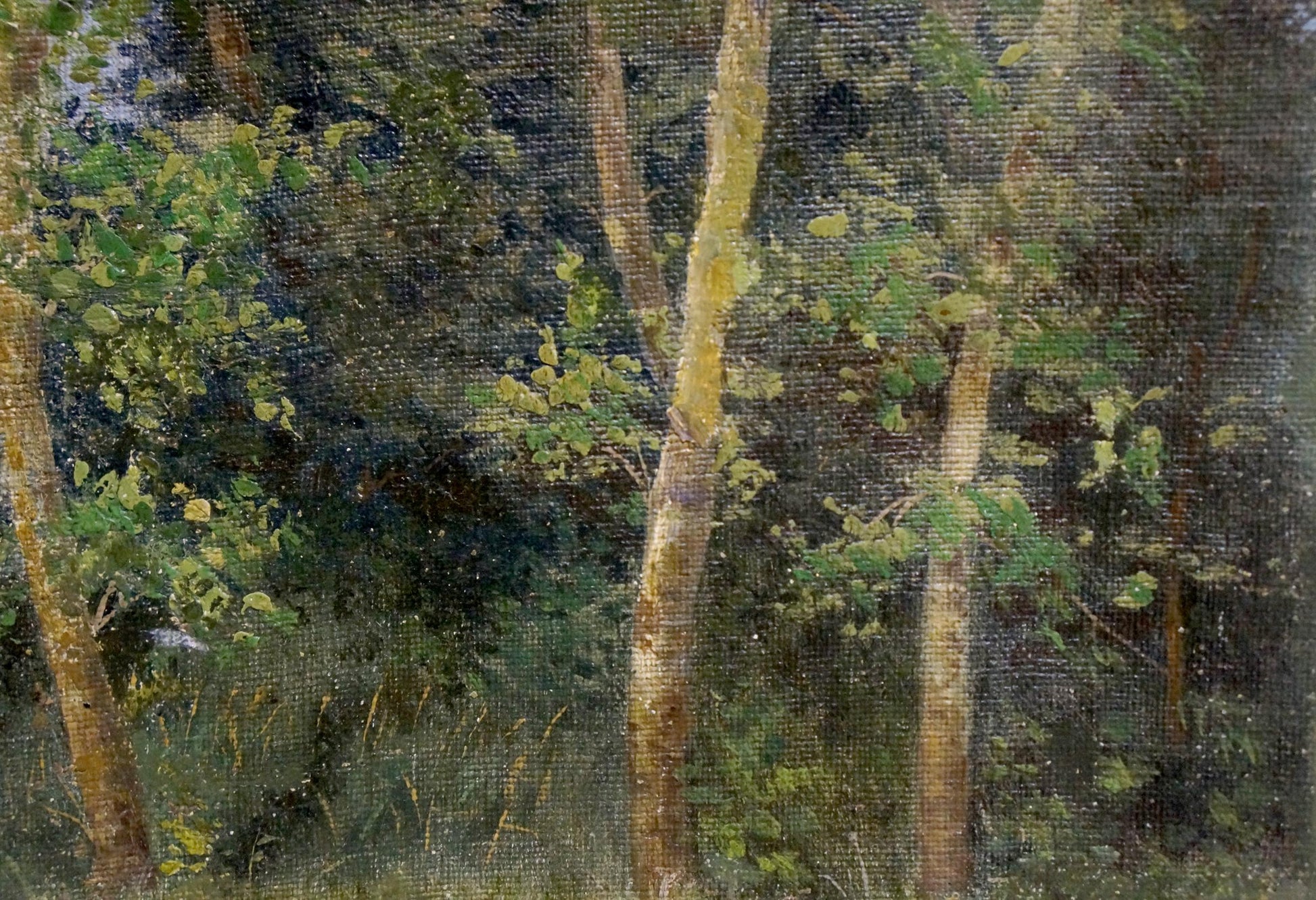 Oil painting of birch forest landscape by Efim Efimovich Volkov