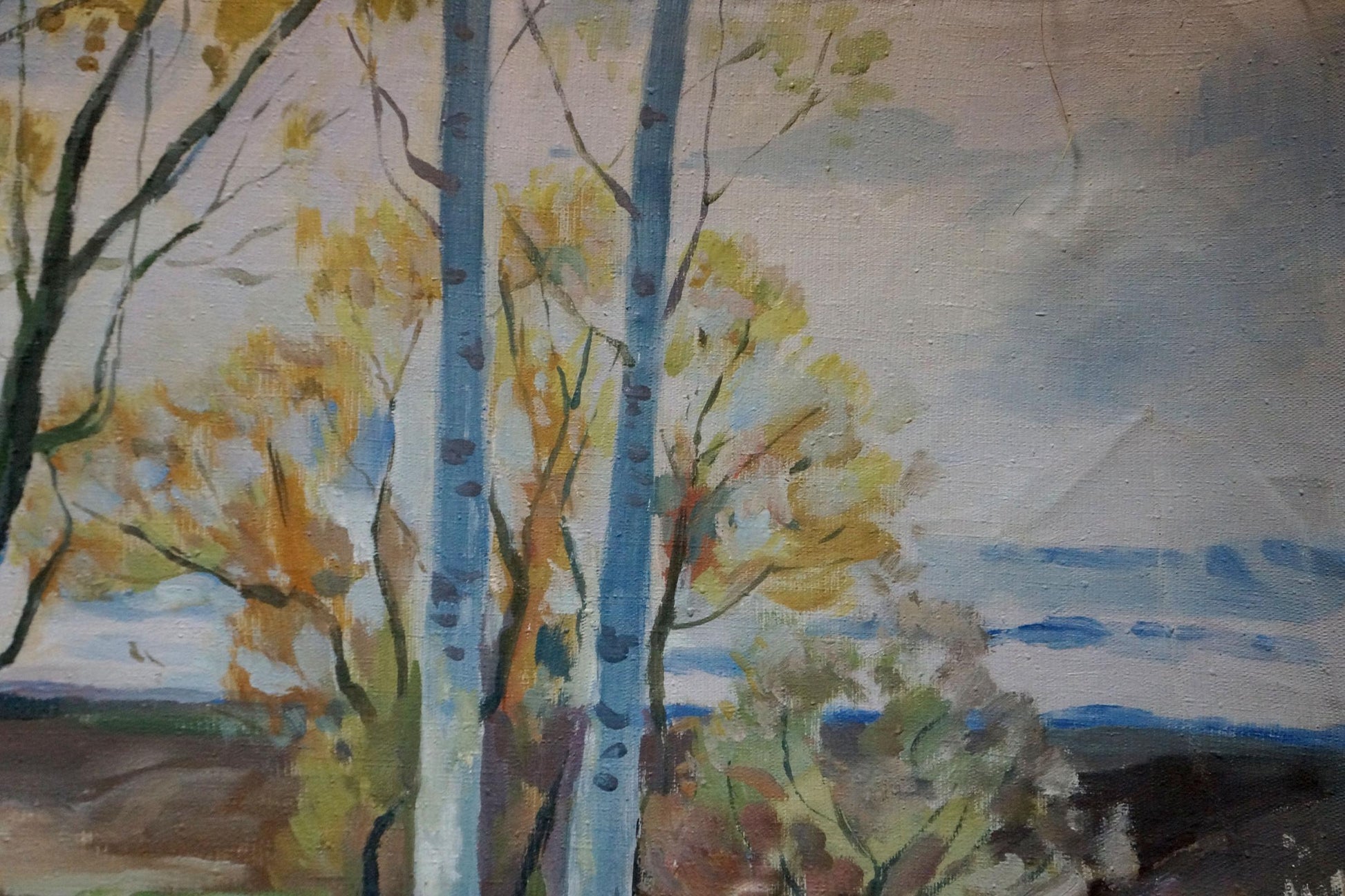 Watercolor birch trees with blue trunks by Minka Alexander Fedorovich