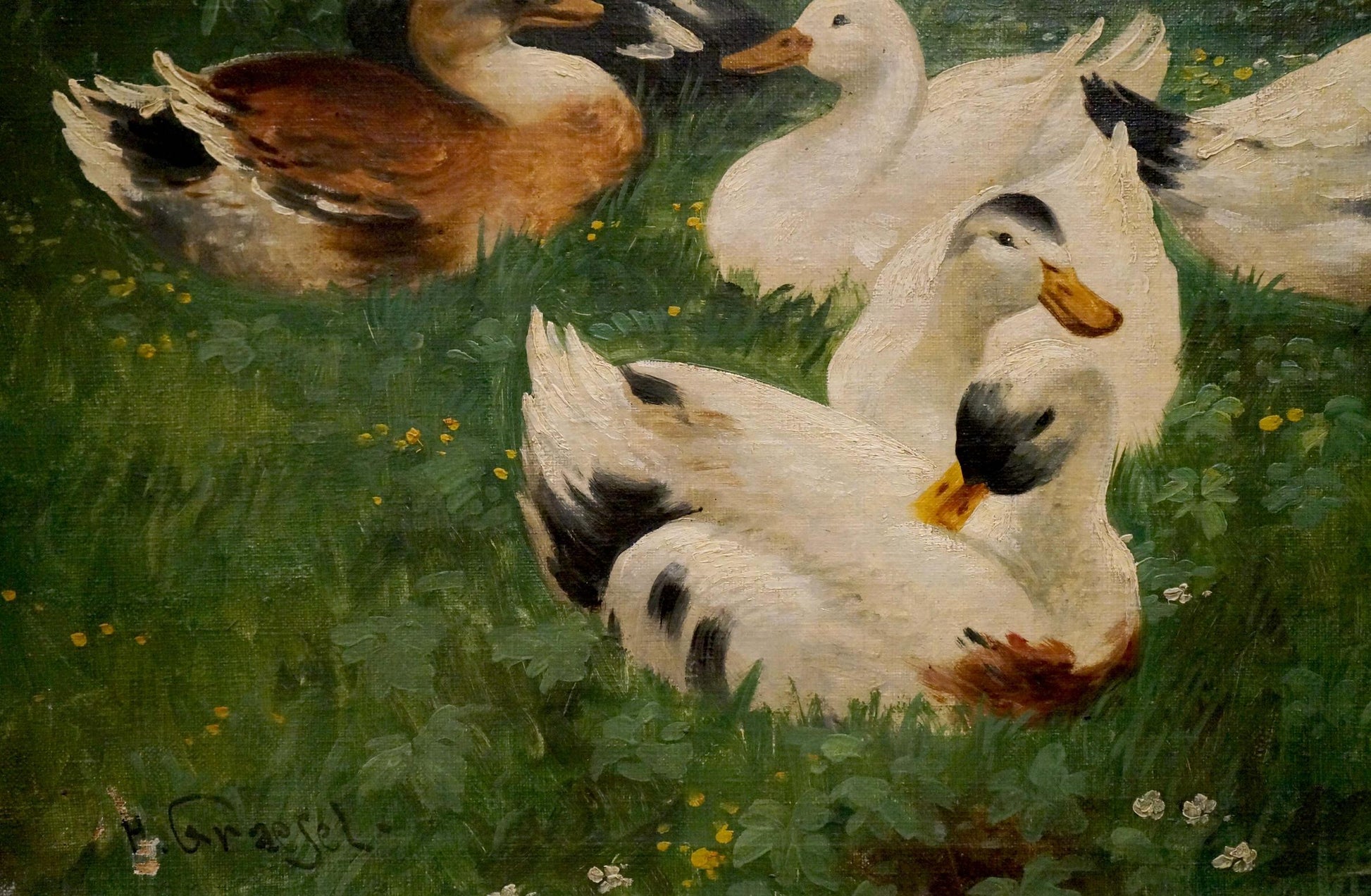 Oil painting by H. Graesel of ducks resting in grassy field