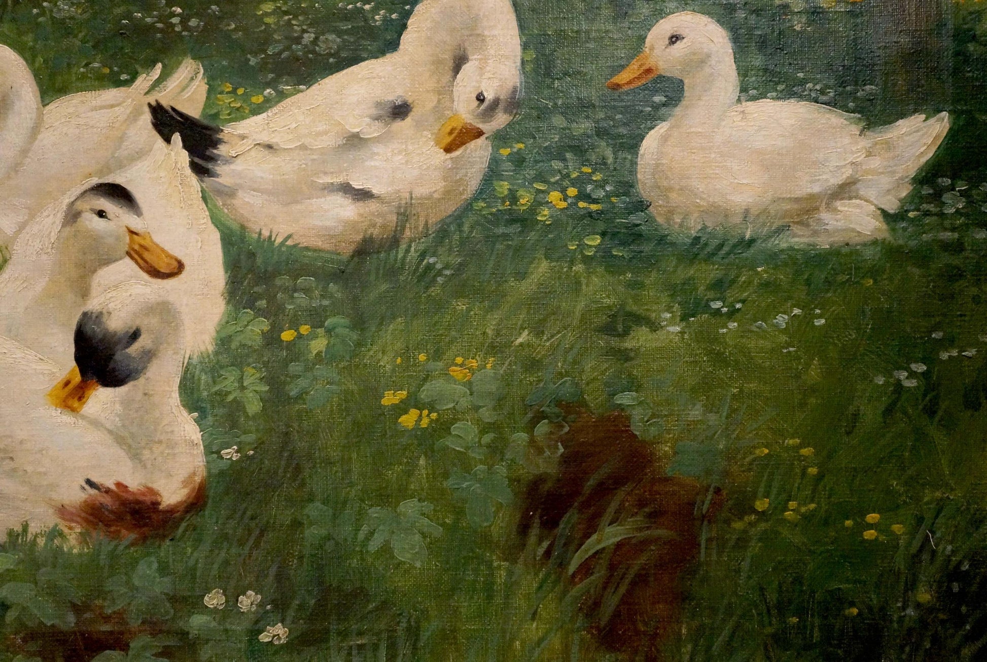 Oil painting by H. Graesel of white ducks with orange beaks in grassy field with yellow flowers