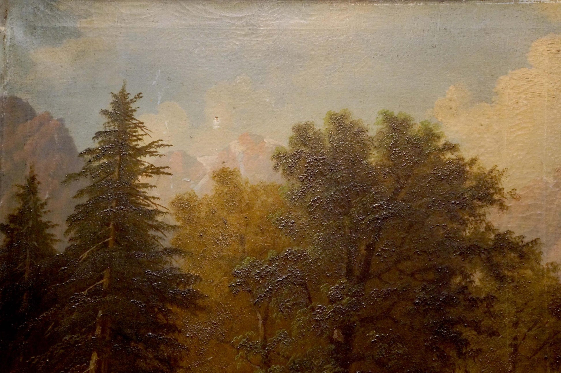Oil painting Homecoming: forest with tall evergreens under cloudy sky